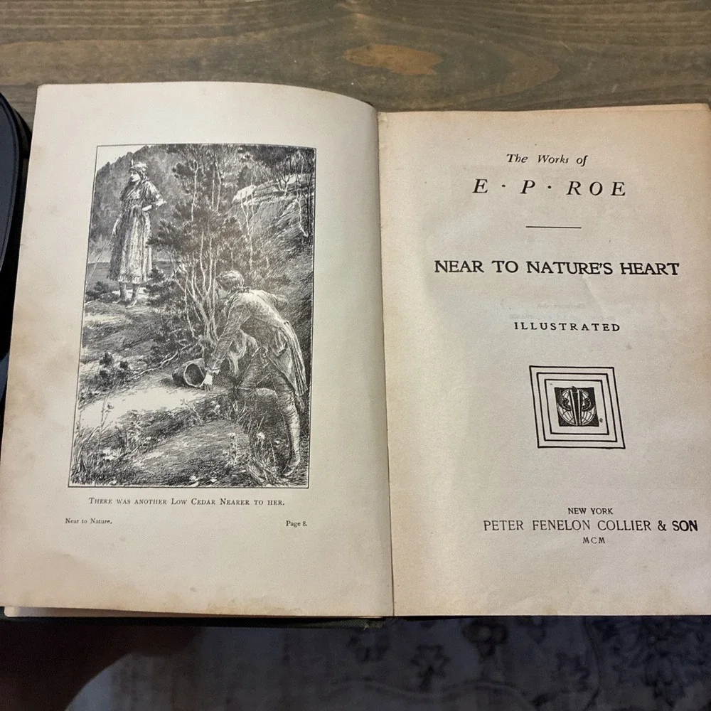 Near To Natures Heart VIII  by E.P. Roe, Dodd, Mead & Co 1876 Hardcover Antique